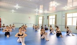 独家爆料艺术学校极品舞蹈生,揭秘艺术学校极品舞蹈生的传奇故事